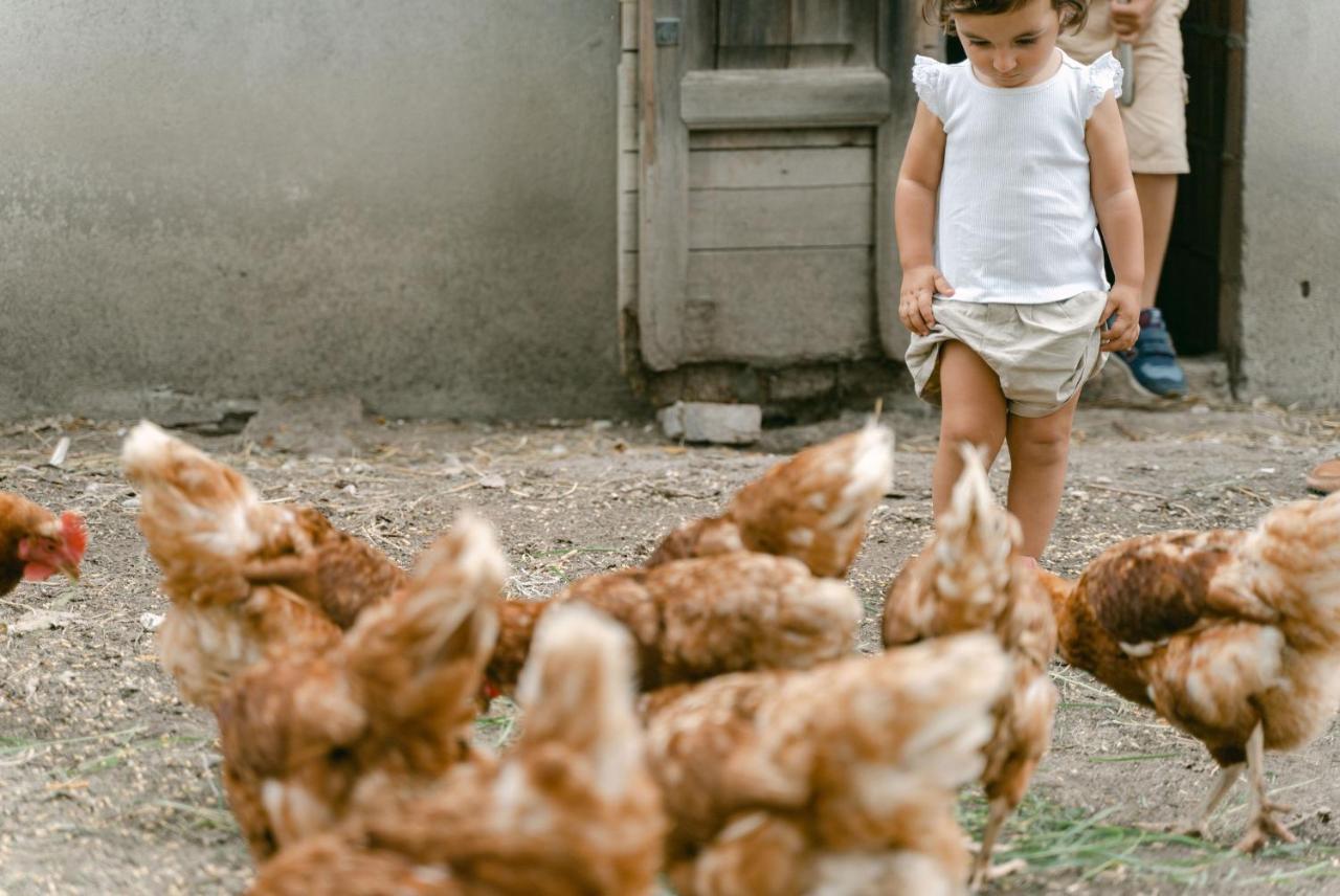 ヴィッラ・バルトロメーア Agriturismo Tenuta La Pilaヴィラ エクステリア 写真