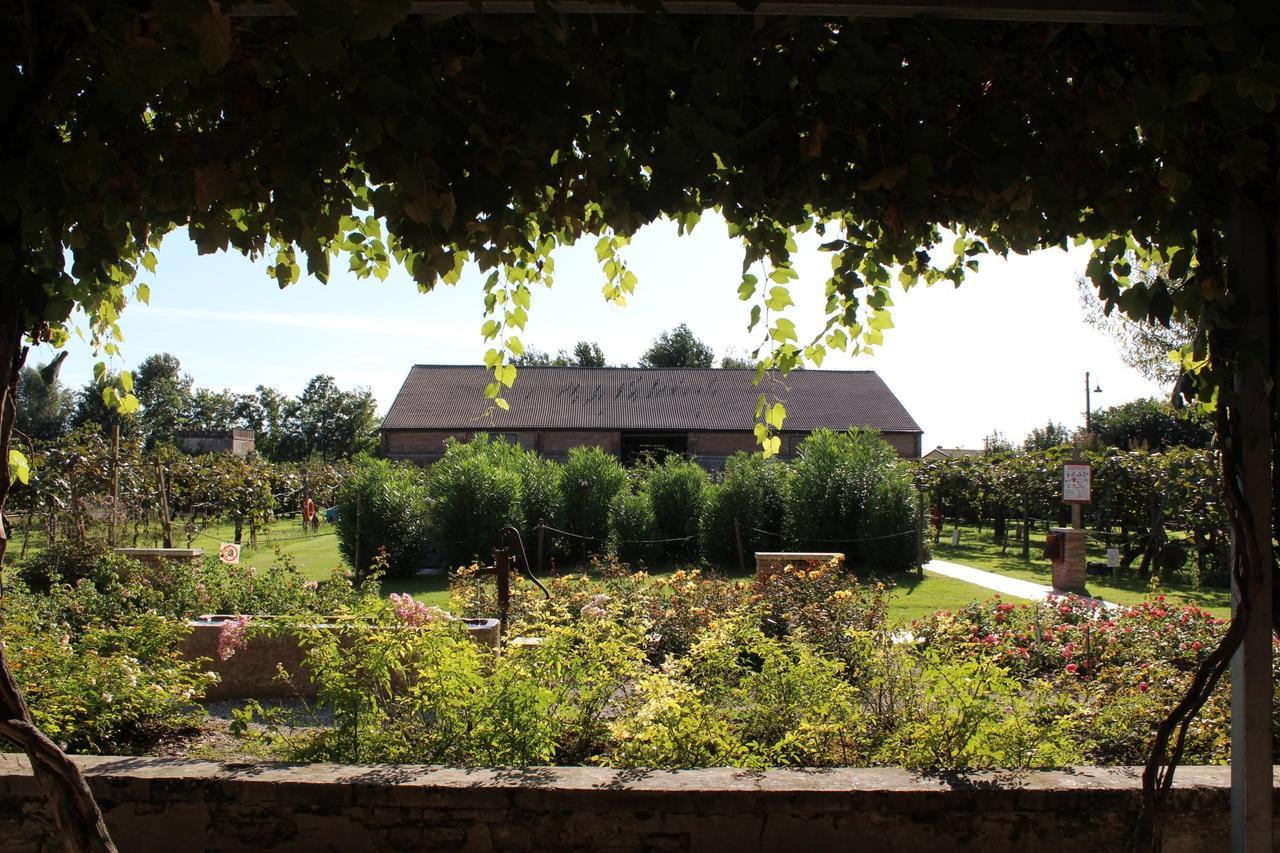 ヴィッラ・バルトロメーア Agriturismo Tenuta La Pilaヴィラ エクステリア 写真